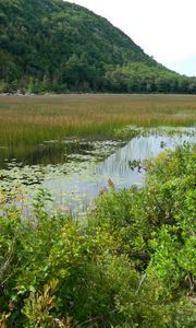 Preview wallpaper mountain, pond, shrubs, nature