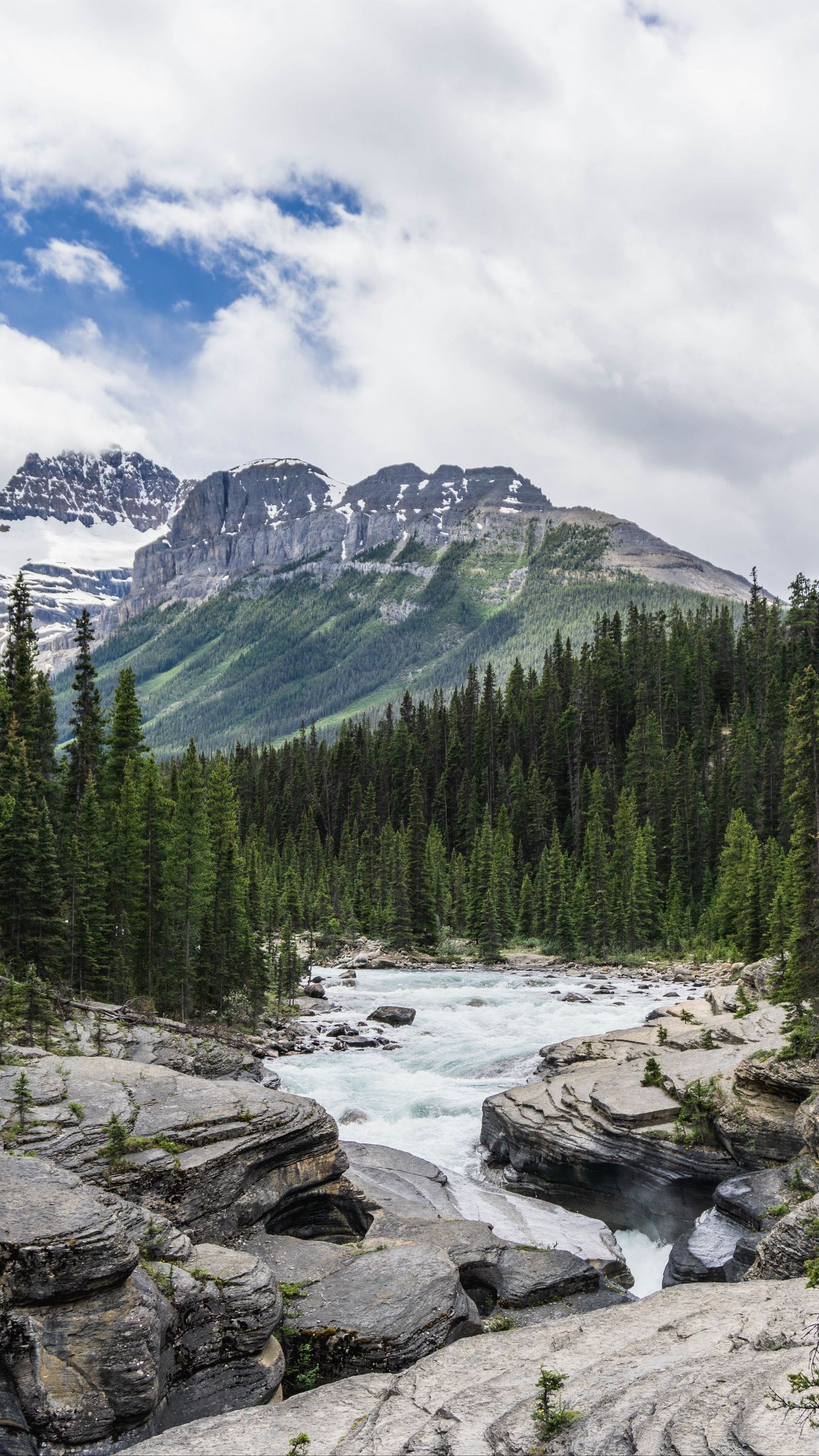 Download wallpaper 1350x2400 mountain, river, forest, landscape, nature