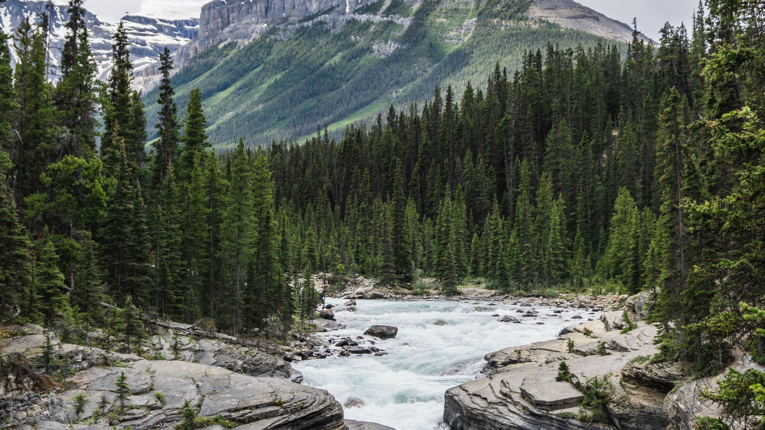 Download wallpaper 2560x1440 mountain, river, forest, landscape, nature