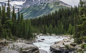 Preview wallpaper mountain, river, forest, landscape, nature