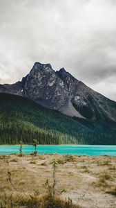 Preview wallpaper mountain, river, landscape, trees, forest