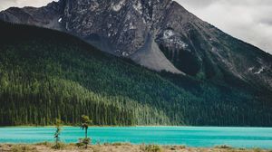Preview wallpaper mountain, river, landscape, trees, forest