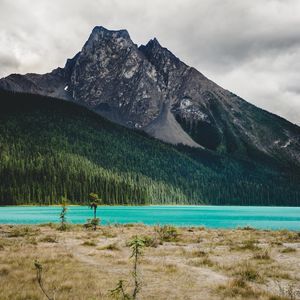 Preview wallpaper mountain, river, landscape, trees, forest