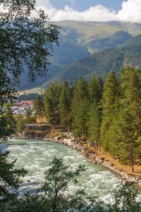 Preview wallpaper mountain river, river, mountains, trees, nature