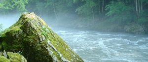 Preview wallpaper mountain river, stone, moss, adygea