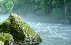 Preview wallpaper mountain river, stone, moss, adygea