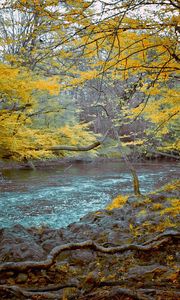 Preview wallpaper mountain river, stones, wood, dark, for, fall