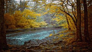 Preview wallpaper mountain river, stones, wood, dark, for, fall