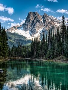 Preview wallpaper mountain, river, trees, shore, nature