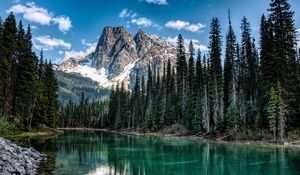 Preview wallpaper mountain, river, trees, shore, nature