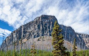 Preview wallpaper mountain, river, trees, landscape, nature