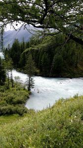 Preview wallpaper mountain river, trees, wood, despondency