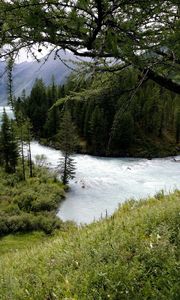 Preview wallpaper mountain river, trees, wood, despondency