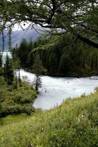 Preview wallpaper mountain river, trees, wood, despondency