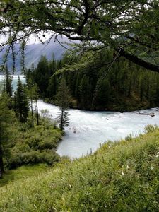 Preview wallpaper mountain river, trees, wood, despondency