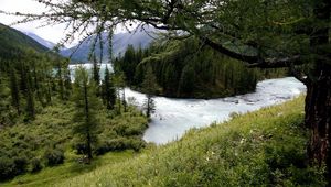 Preview wallpaper mountain river, trees, wood, despondency