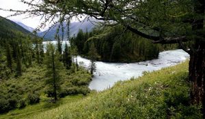 Preview wallpaper mountain river, trees, wood, despondency