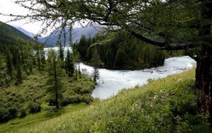 Preview wallpaper mountain river, trees, wood, despondency