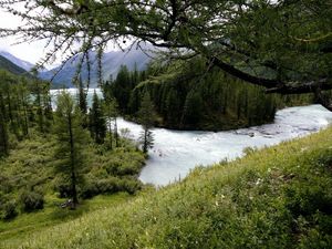 Preview wallpaper mountain river, trees, wood, despondency