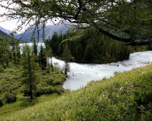 Preview wallpaper mountain river, trees, wood, despondency