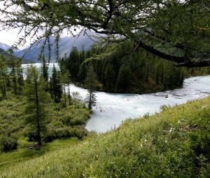 Preview wallpaper mountain river, trees, wood, despondency