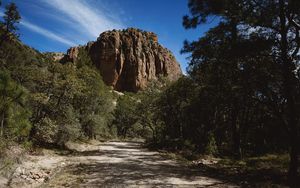 Preview wallpaper mountain, road, trees, shade, coniferous