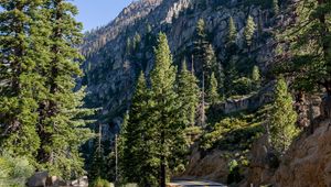 Preview wallpaper mountain, road, trees, forest, landscape