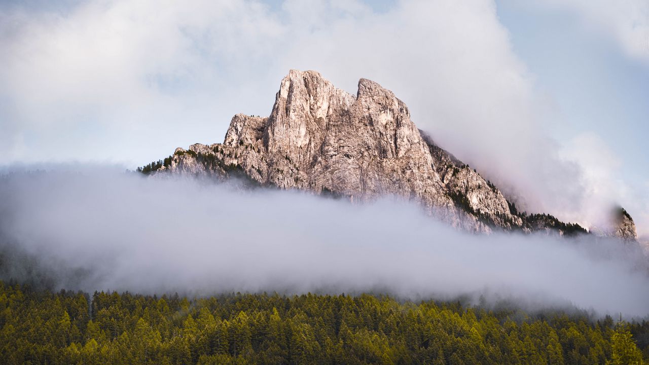 Wallpaper mountain, rock, fog, forest, nature