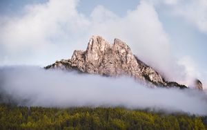 Preview wallpaper mountain, rock, fog, forest, nature