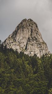 Preview wallpaper mountain, rock, peak, forest, trees