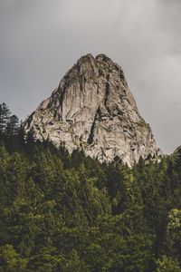 Preview wallpaper mountain, rock, peak, forest, trees