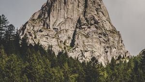 Preview wallpaper mountain, rock, peak, forest, trees