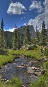 Preview wallpaper mountain, rock, river, spruce, trees, grass