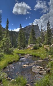 Preview wallpaper mountain, rock, river, spruce, trees, grass