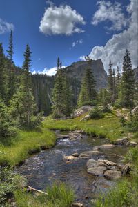 Preview wallpaper mountain, rock, river, spruce, trees, grass