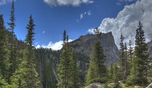 Preview wallpaper mountain, rock, river, spruce, trees, grass