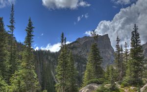 Preview wallpaper mountain, rock, river, spruce, trees, grass