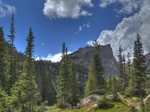 Preview wallpaper mountain, rock, river, spruce, trees, grass