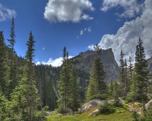 Preview wallpaper mountain, rock, river, spruce, trees, grass