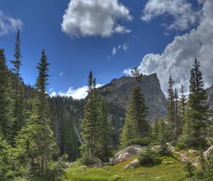 Preview wallpaper mountain, rock, river, spruce, trees, grass