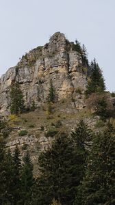 Preview wallpaper mountain, rock, trees, nature, landscape