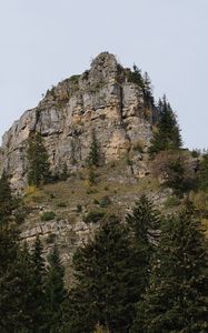 Preview wallpaper mountain, rock, trees, nature, landscape