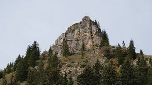 Preview wallpaper mountain, rock, trees, nature, landscape