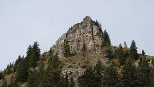 Preview wallpaper mountain, rock, trees, nature, landscape