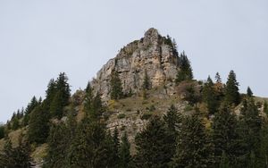 Preview wallpaper mountain, rock, trees, nature, landscape