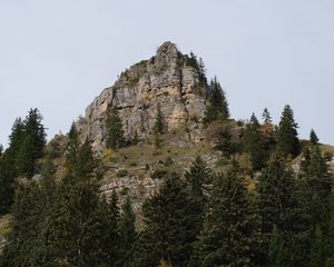 Preview wallpaper mountain, rock, trees, nature, landscape