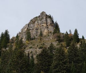 Preview wallpaper mountain, rock, trees, nature, landscape