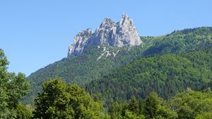 Preview wallpaper mountain, rock, trees, forest