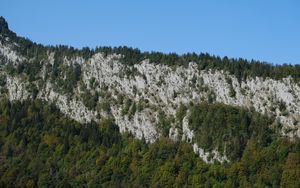 Preview wallpaper mountain, rock, trees, landscape