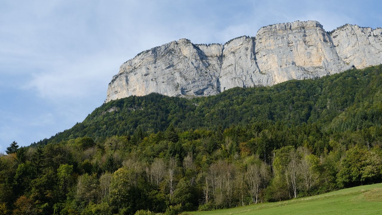 Wallpaper mountain, rock, trees, lawn, slope